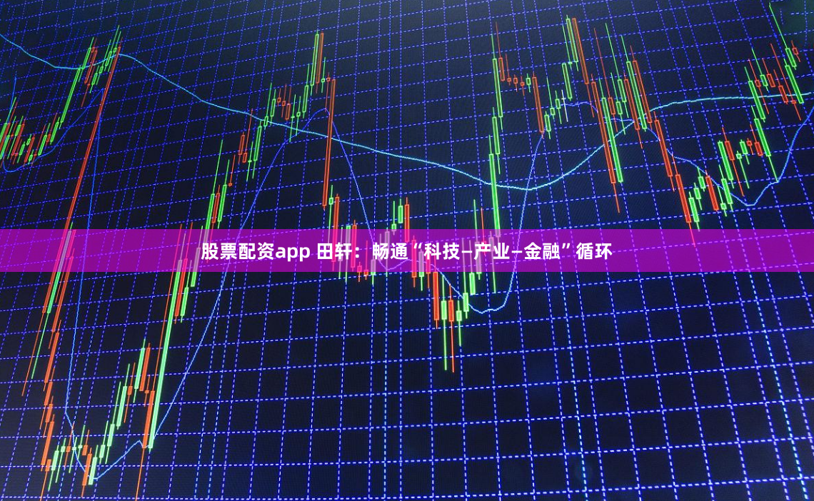 股票配资app 田轩：畅通“科技—产业—金融”循环
