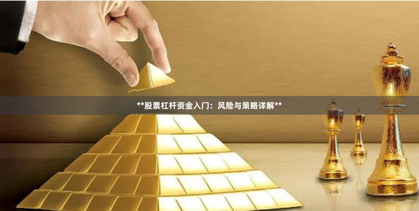 **股票杠杆资金入门：风险与策略详解**