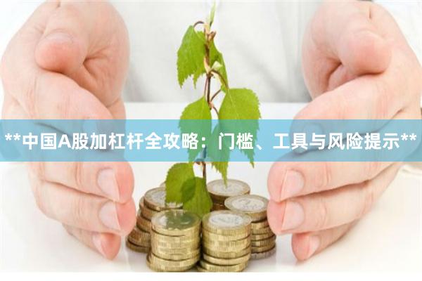 **中国A股加杠杆全攻略：门槛、工具与风险提示**